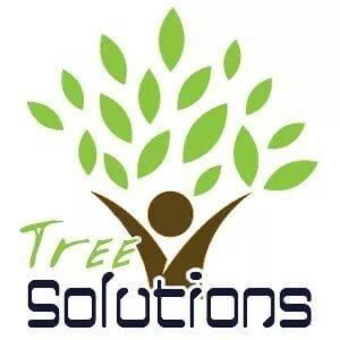 Tree Solutions Florida, LLC - Daytona Beach, FL