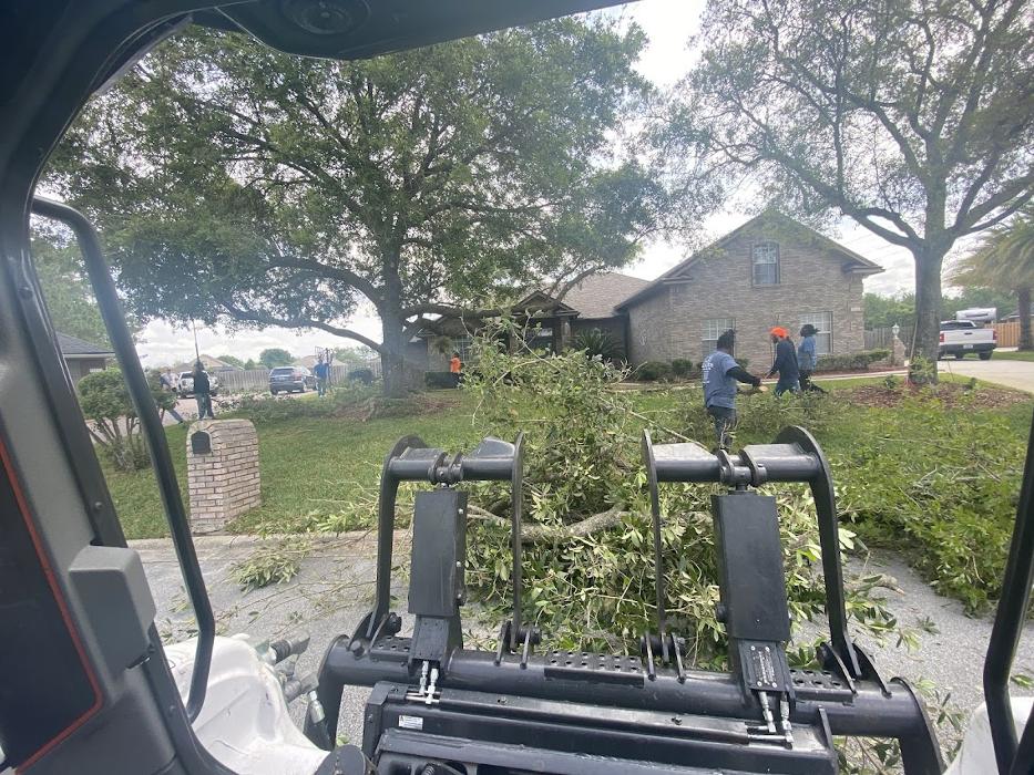 Tree Solutions Florida, LLC - Daytona Beach, FL