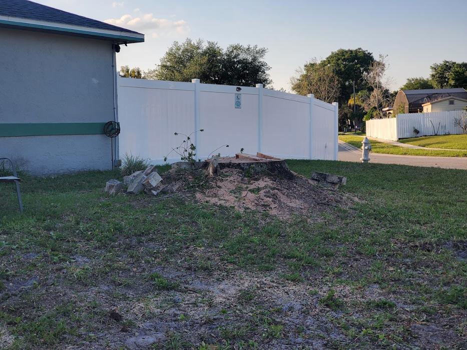 Tree Solutions Florida, LLC - Daytona Beach, FL