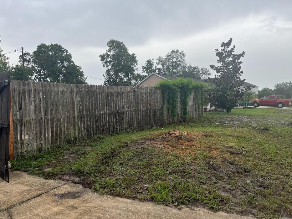 Tree Solutions Florida, LLC - Daytona Beach, FL