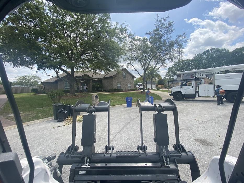 Tree Solutions Florida, LLC - Daytona Beach, FL
