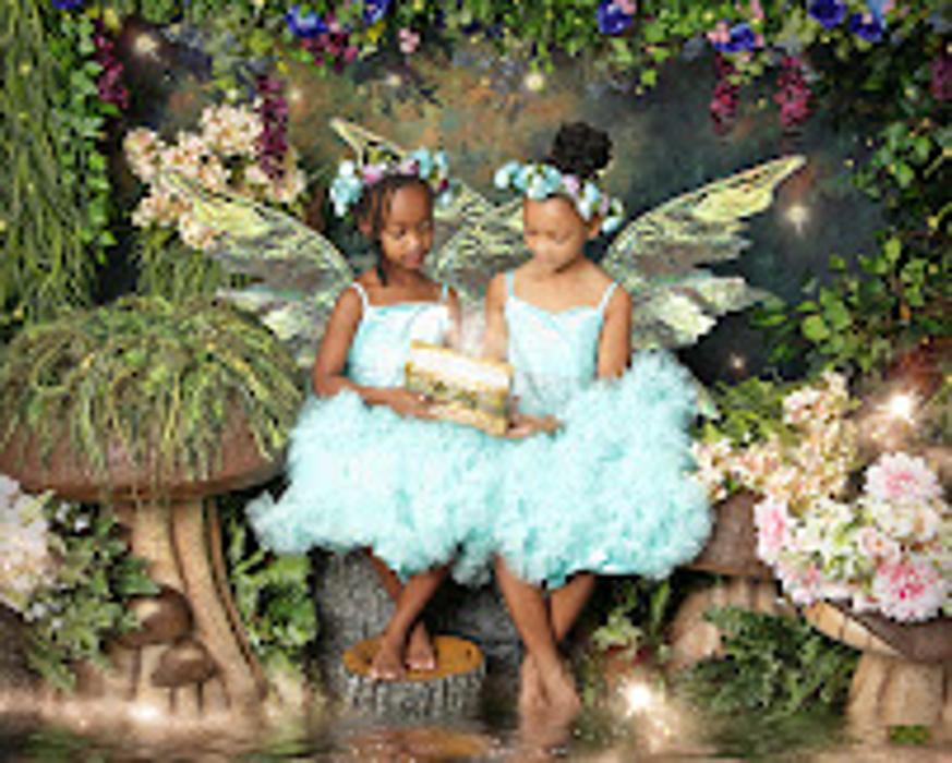 Enchanted Fairies - Gaithersburg, MD