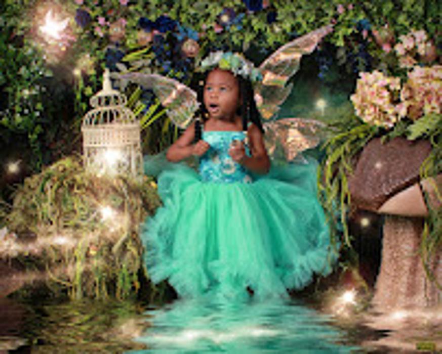 Enchanted Fairies - Wyncote, PA