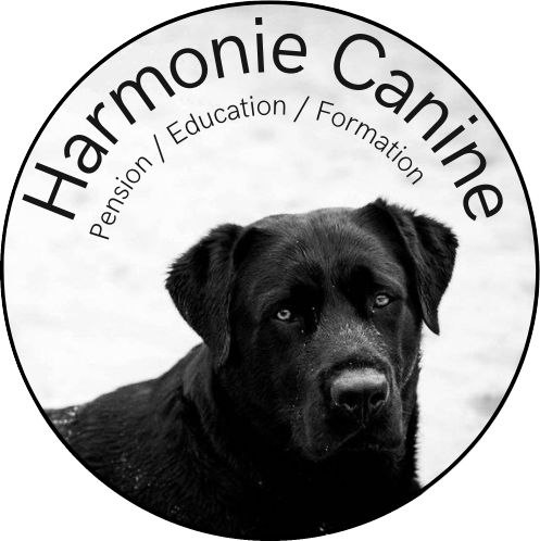 Harmonie Canine hôtel