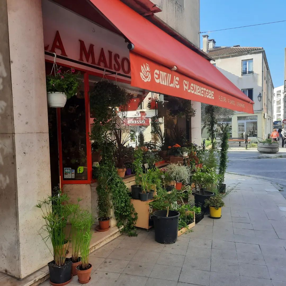 galerie image galerie image