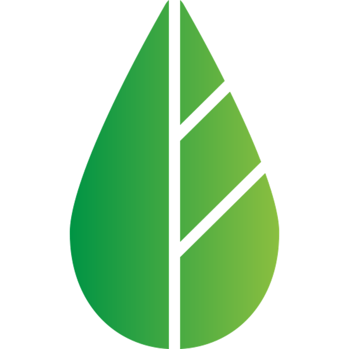 THE eSSENTIAL DENTIST Image