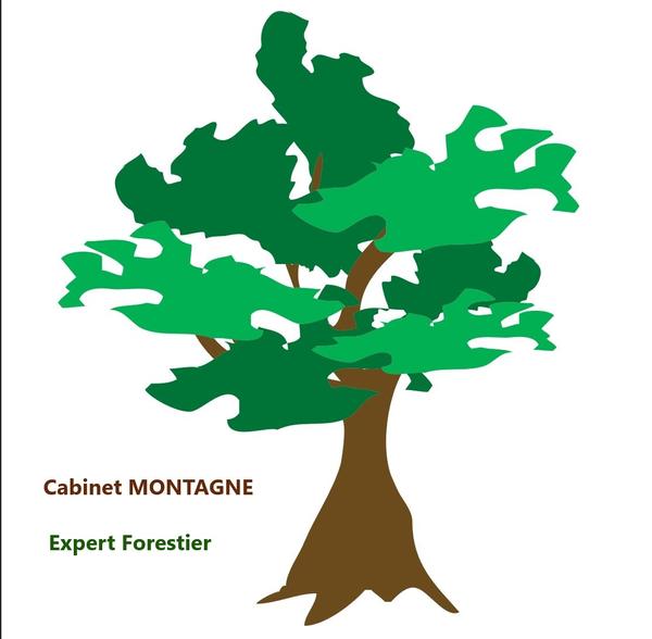 Cabinet MONTAGNE Expert Forestier conseil départemental