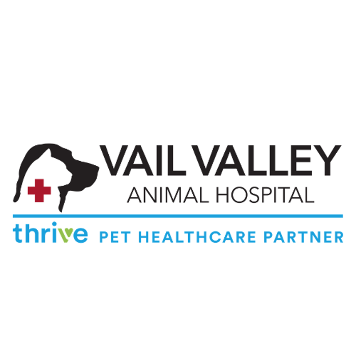 Vail Valley Animal Hospital - Edwards