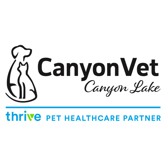 CanyonVet Canyon Lake