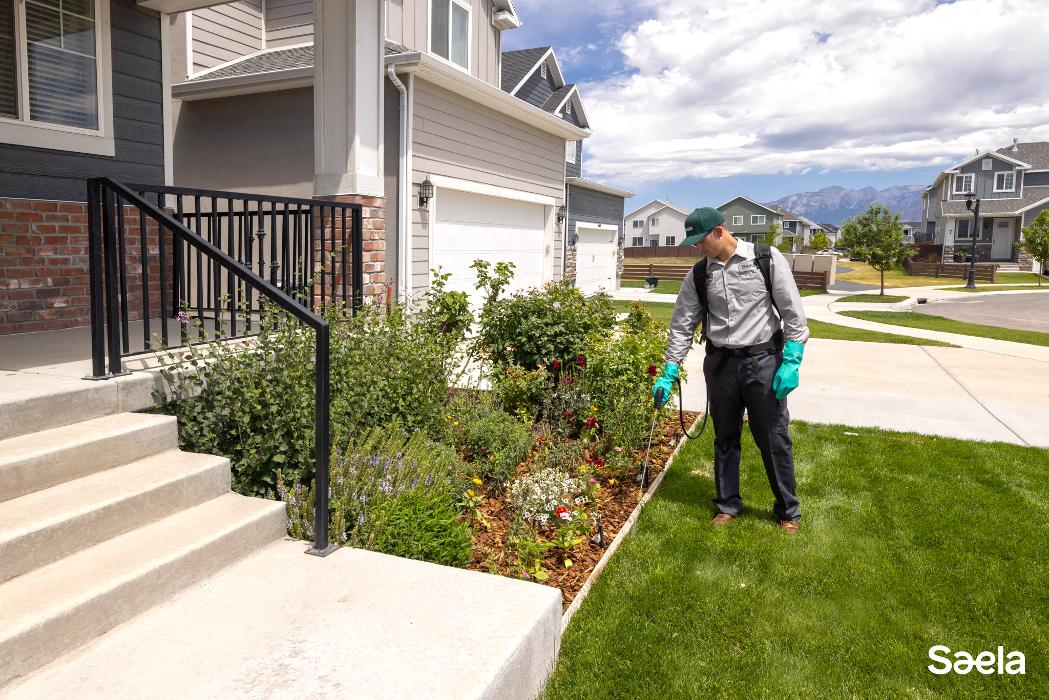 Saela Pest Control - Hubbard, OR