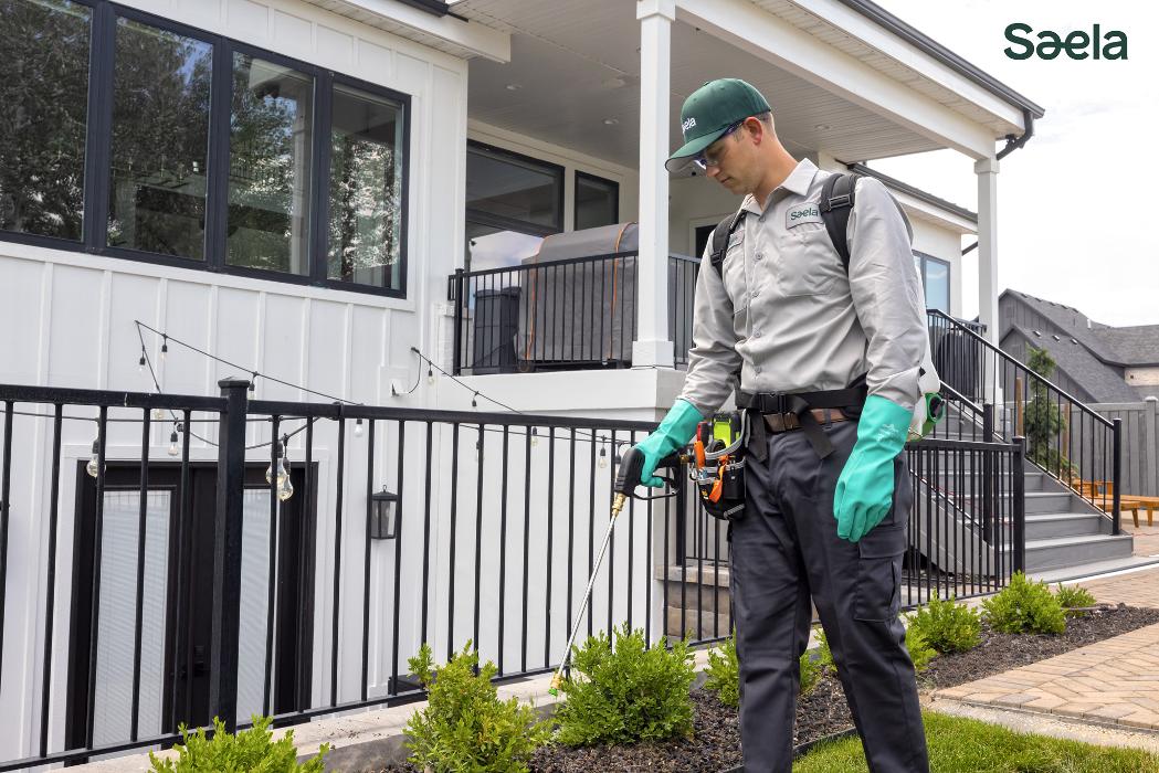 Saela Pest Control - Hubbard, OR