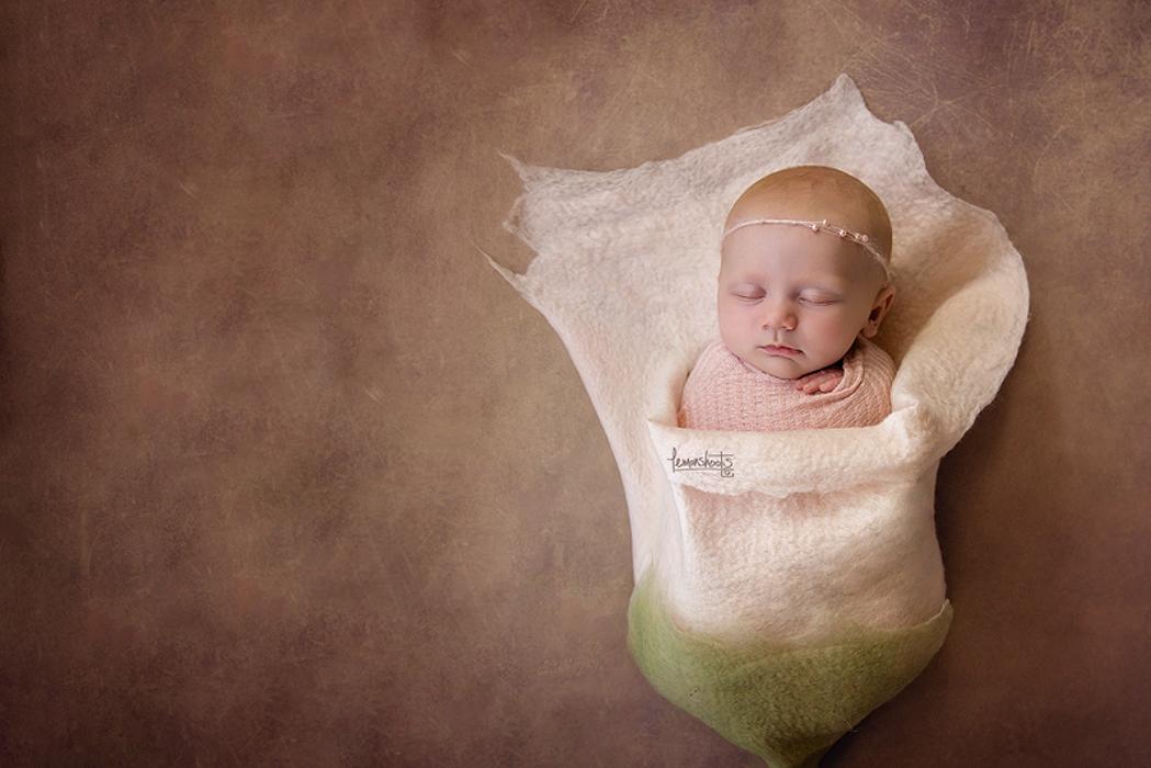 Lemonshoots - Alameda, CA