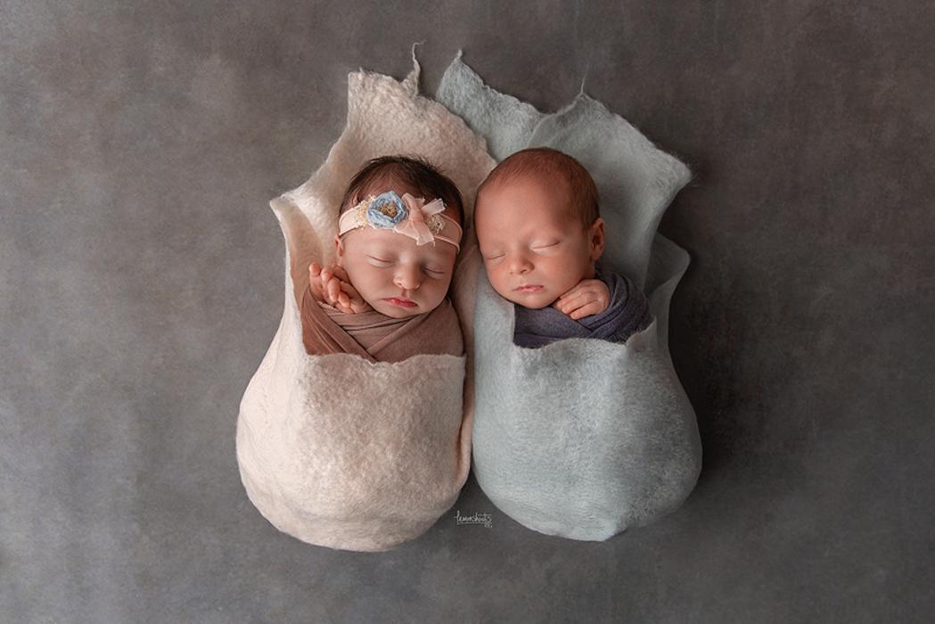 Lemonshoots - Alameda, CA