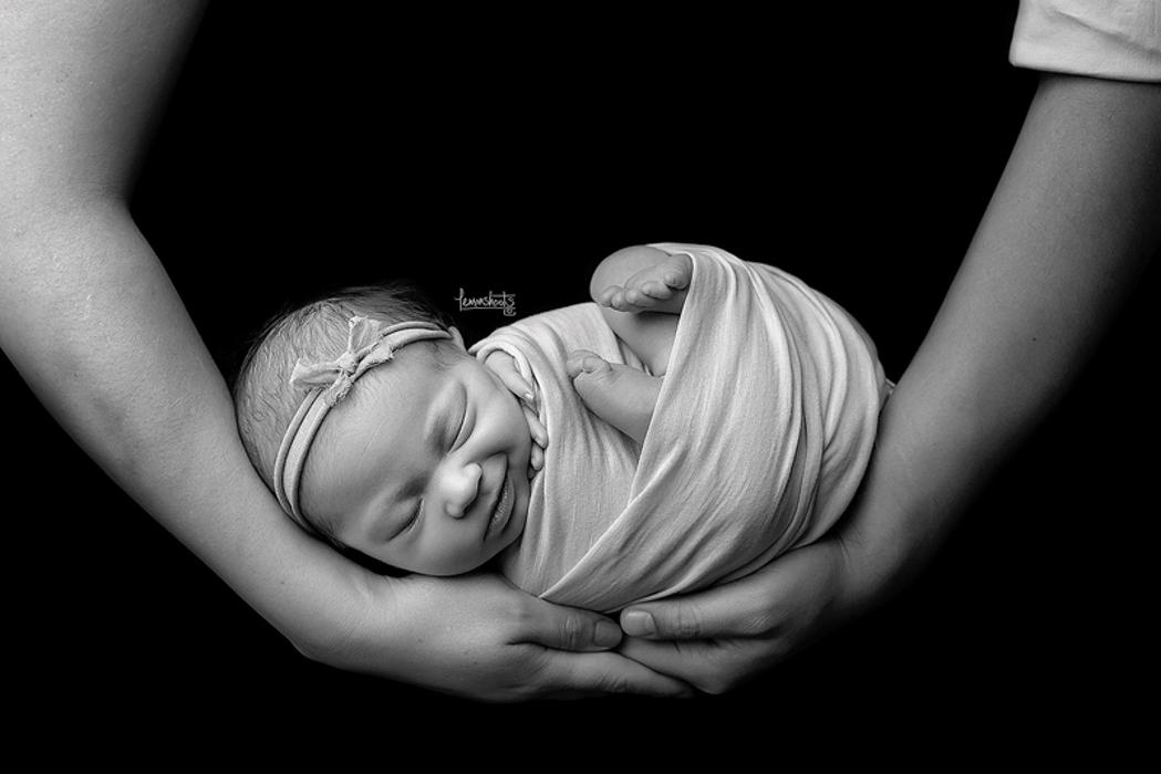 Lemonshoots - Alameda, CA