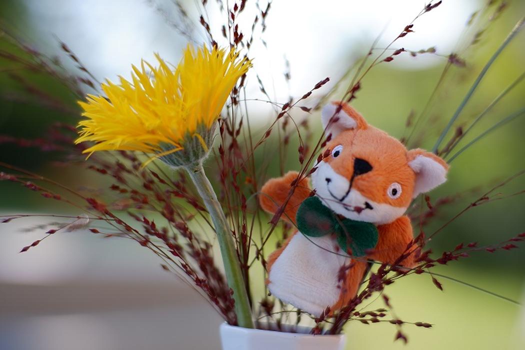 WBS SCHULEN Troisdorf, Lindenstraße in Troisdorf