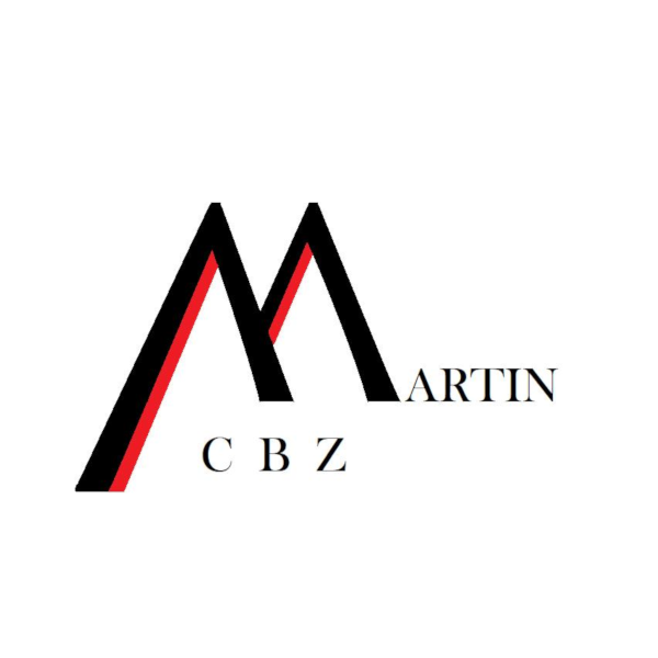 Eurl Martin Cbz Expert