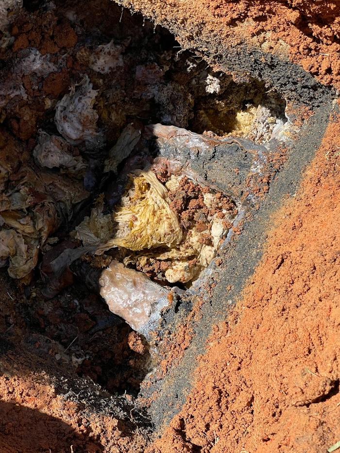 Environmental Septic - Loganville, GA