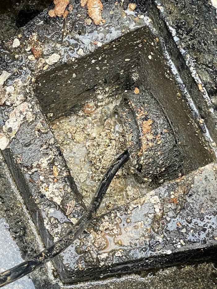 Environmental Septic - Loganville, GA