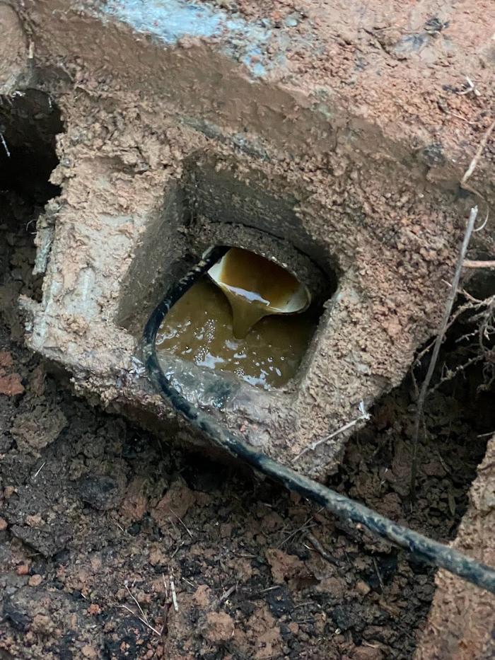 Environmental Septic - Loganville, GA