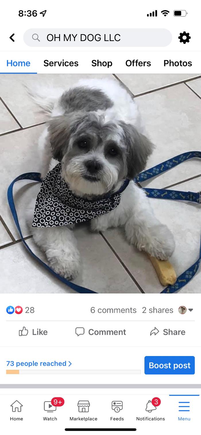 Oh My Dog Mobile - Palm Harbor, FL