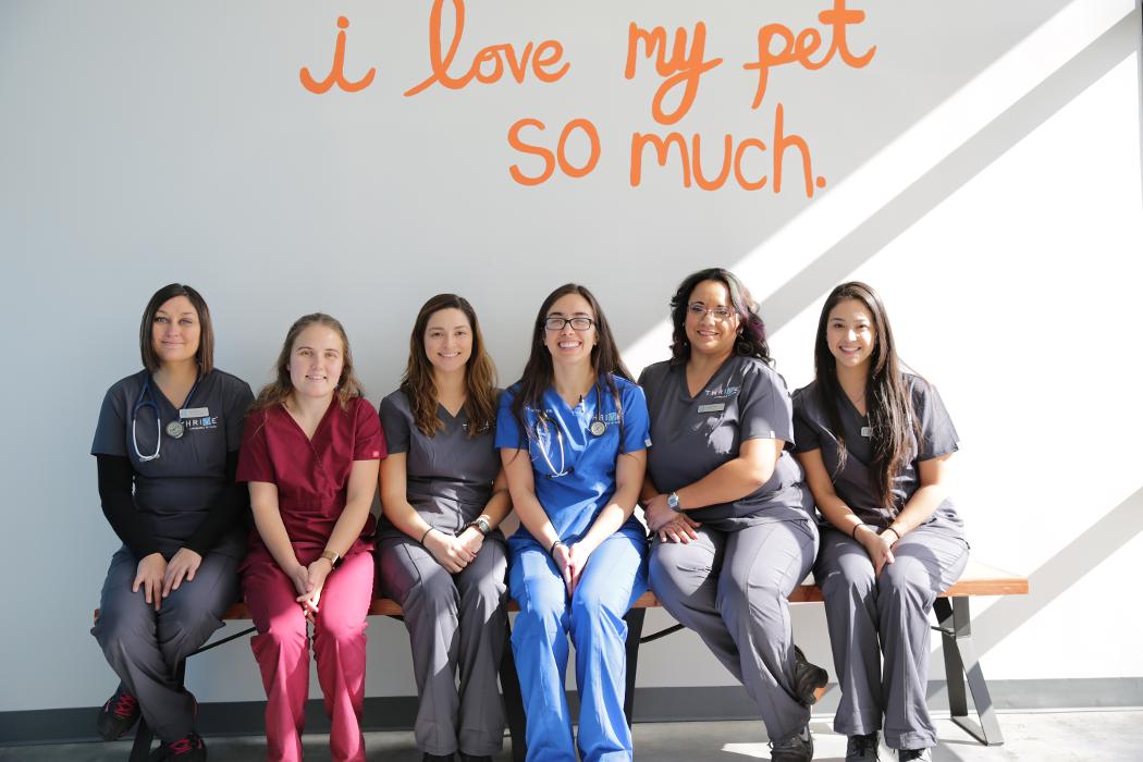 Thrive Pet Healthcare - Manchaca Image