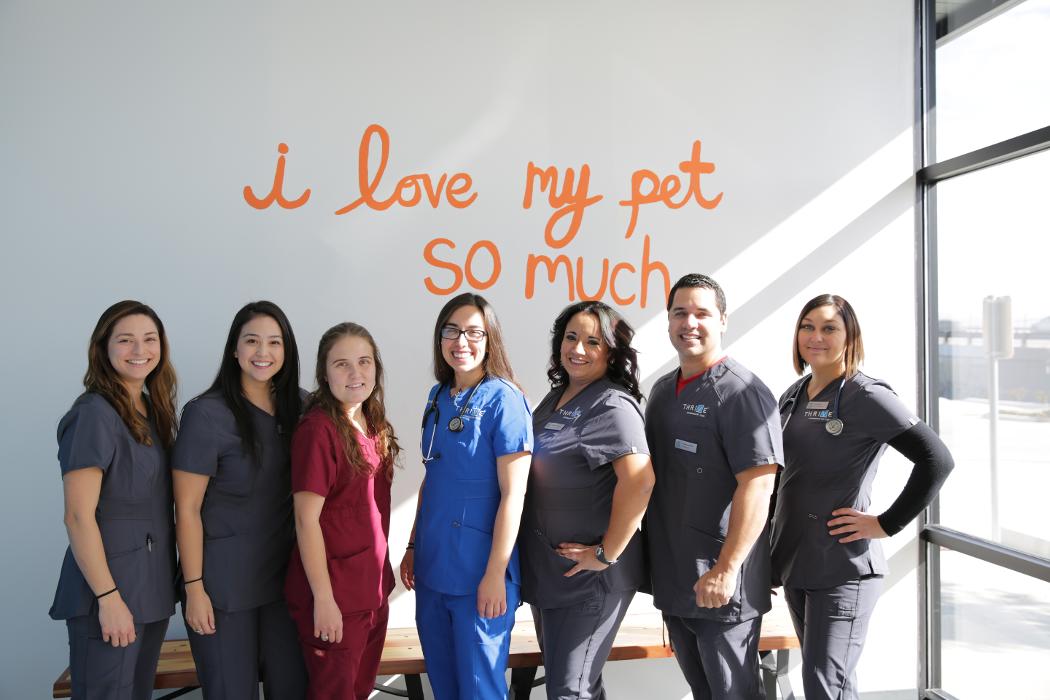 Thrive Pet Healthcare - Manchaca Image