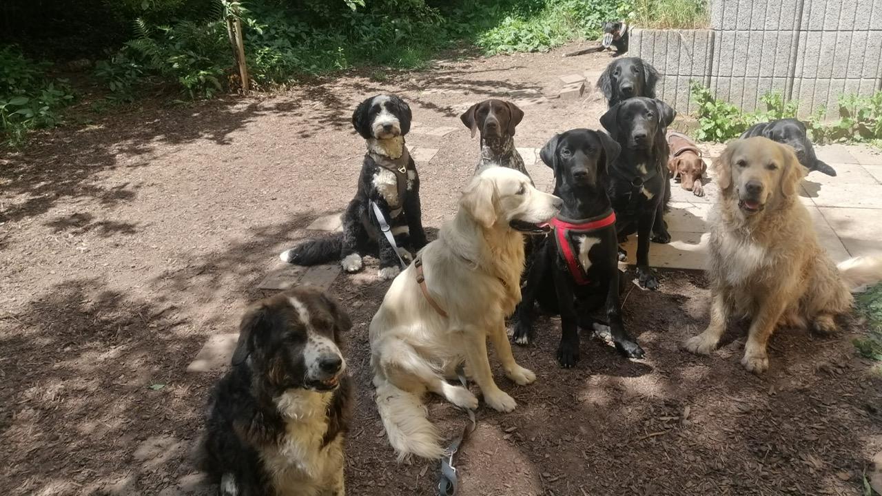 Martin Hofmann, Am Sägewerk in Goldbach