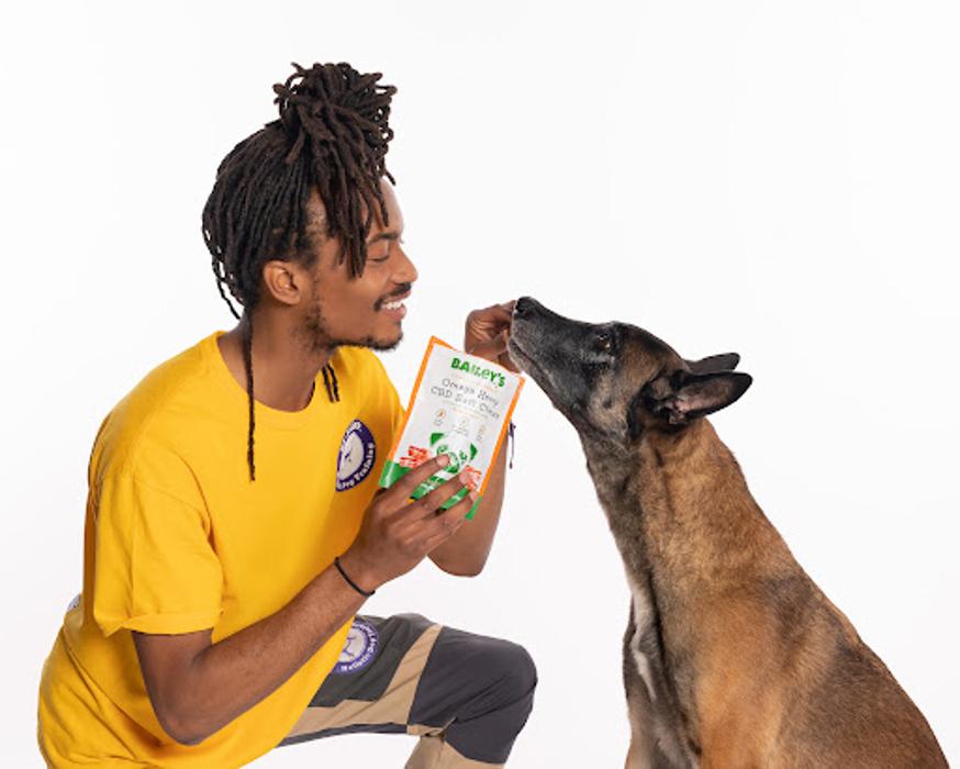 Bailey's CBD For Pets
