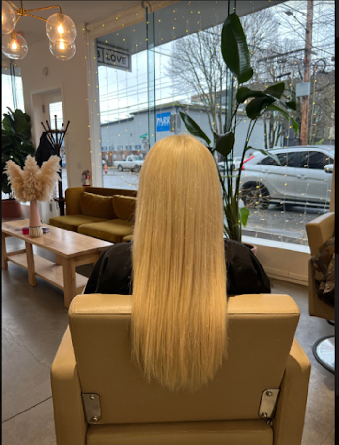 Portland Hair Extensions by Penelope in Portland, OR 97209 (971) 4008069