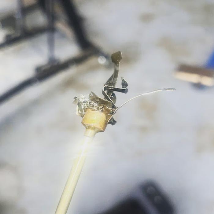 PowerDown Diesel Performance - Leeds, AL