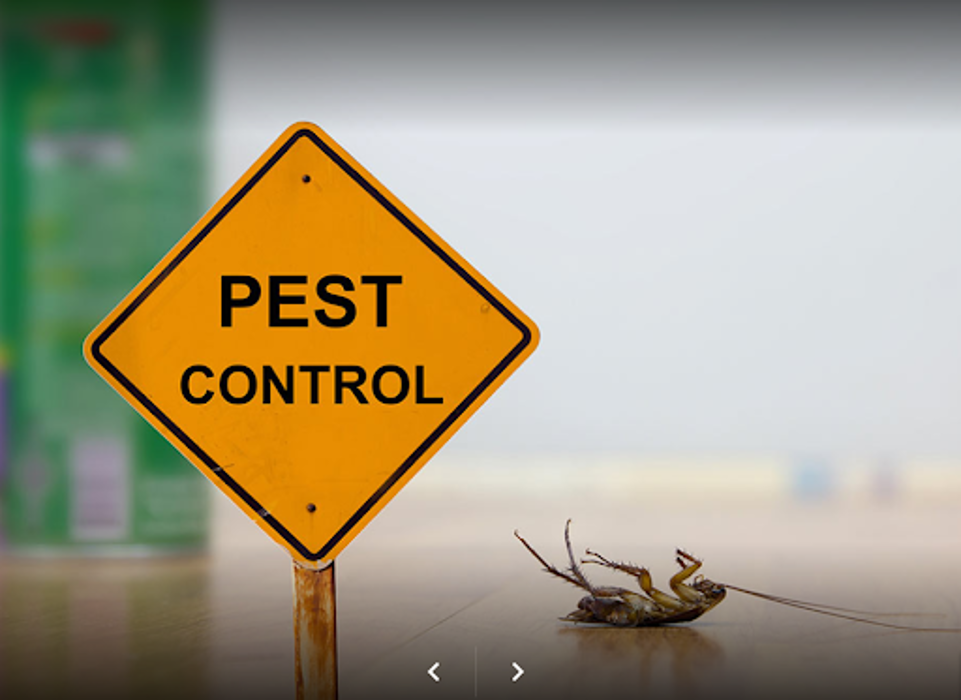 Township Pest Control - Warrington, PA