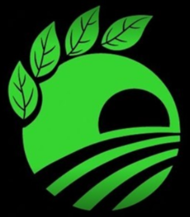 Circular Image