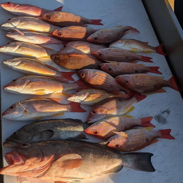 Fishin Magician Inshore Charters - Ruskin, FL