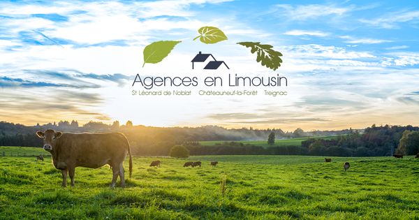 Treignac Immobilier agence immobilière