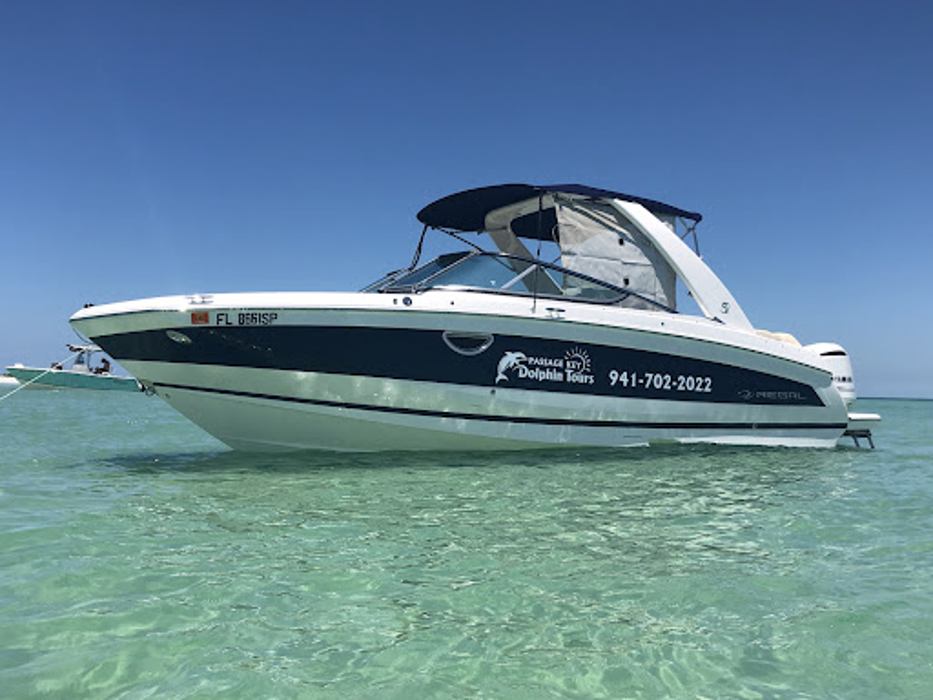 Passage Key Dolphin Tours - Bradenton Beach, FL
