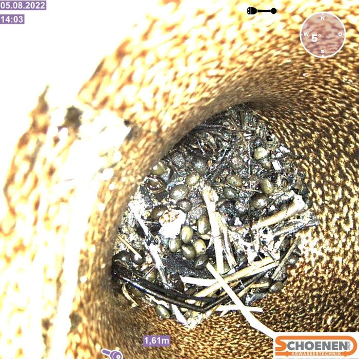 Schoenen GmbH Abwassertechnik, Steinbißstraße in Düren