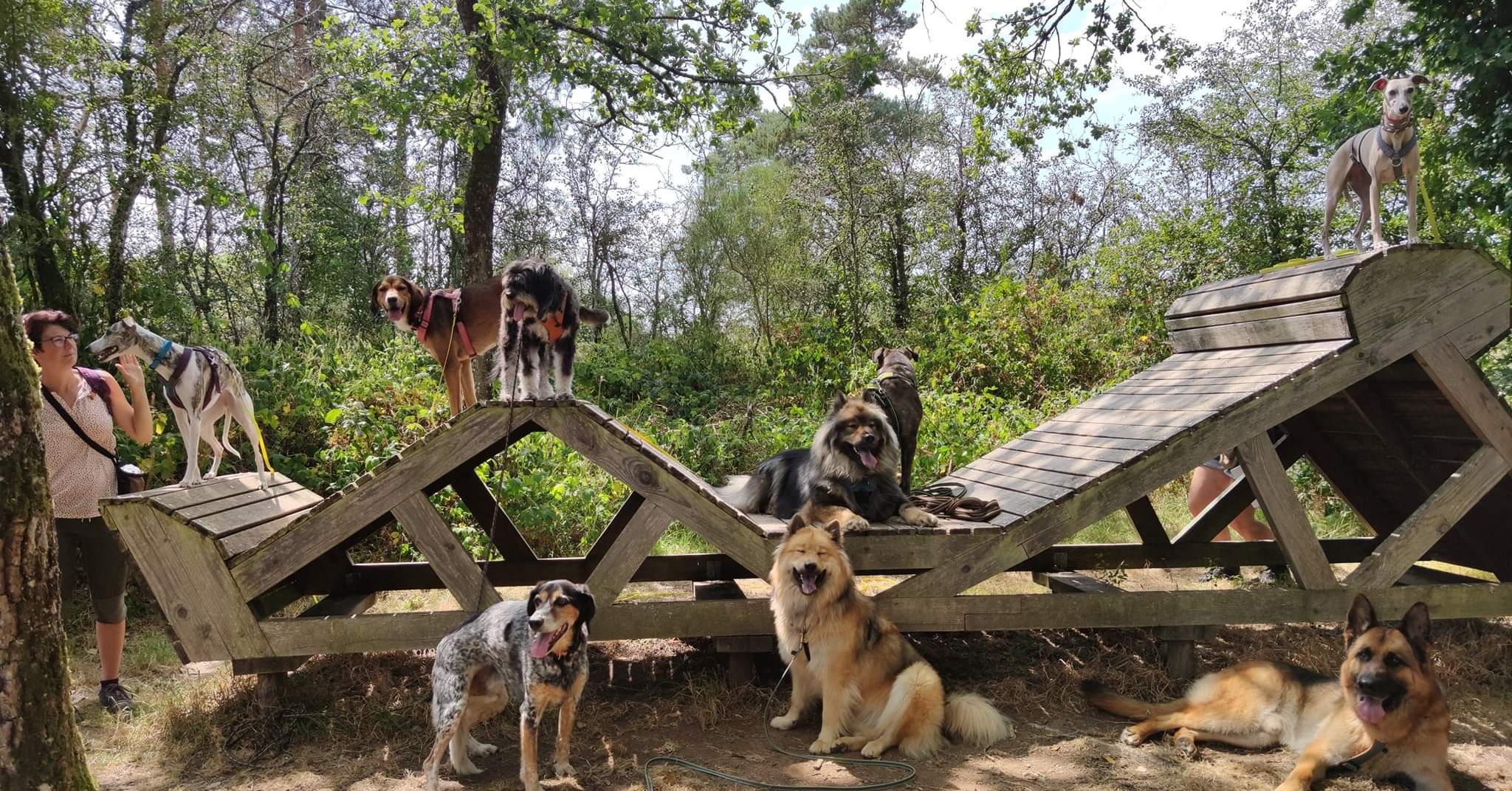 Miniature de la galerie