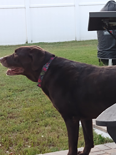 Alone at Home Pet Services, Inc