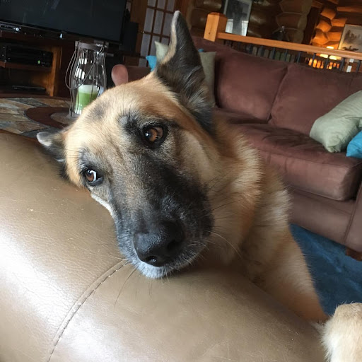 Alone at Home Pet Services, Inc