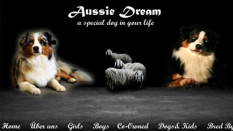 Aussie Dream & Mini American Dream, Rußmühle in Kronach