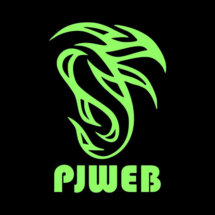 PJWEB in Hamburg