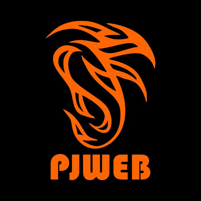 PJWEB in Hamburg