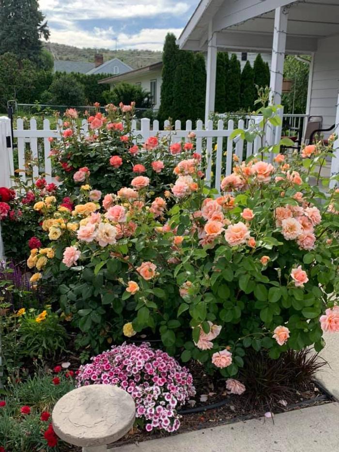 Rosewood Cottage - Chelan, WA