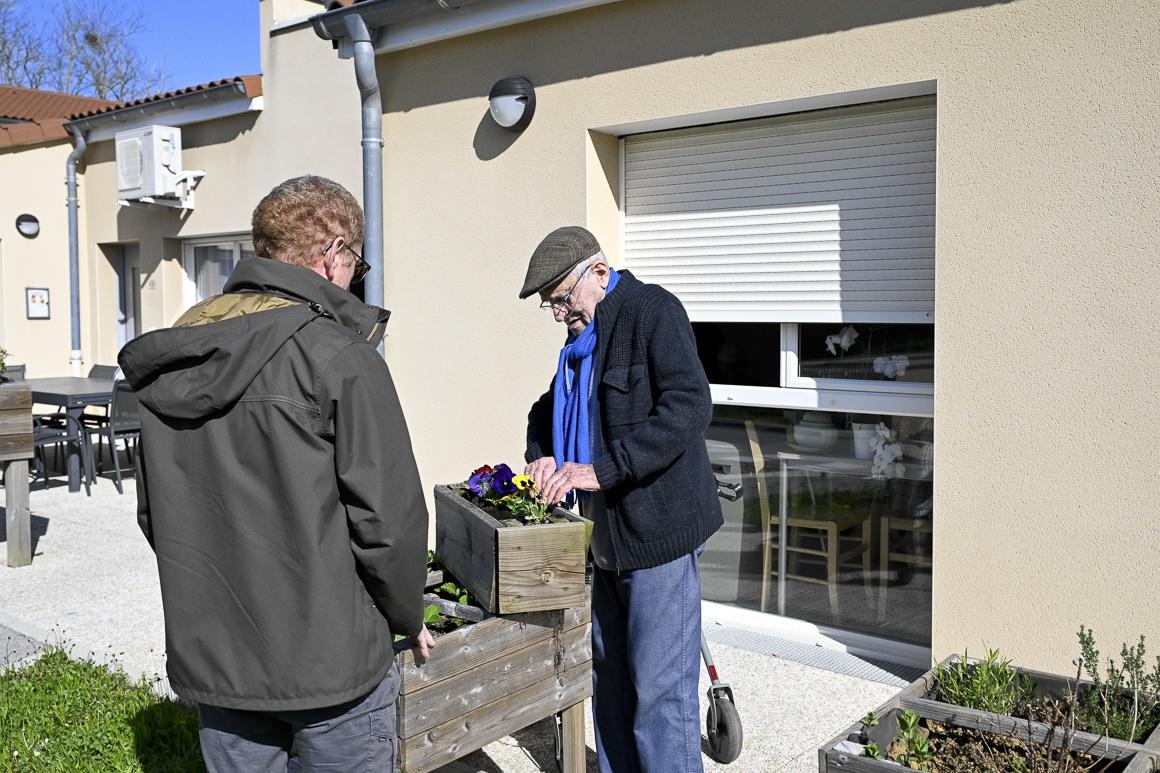 galerie image