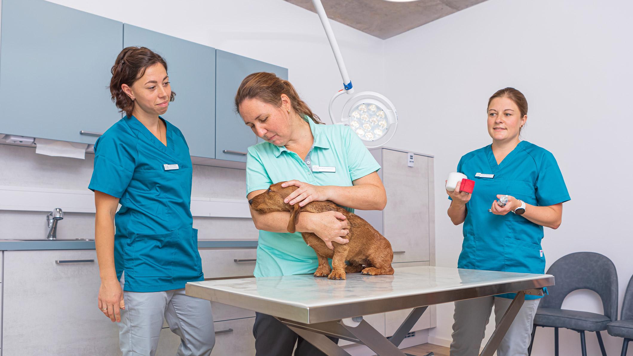 VET-Zentrum, Liebigstraße in Neustadt bei Coburg