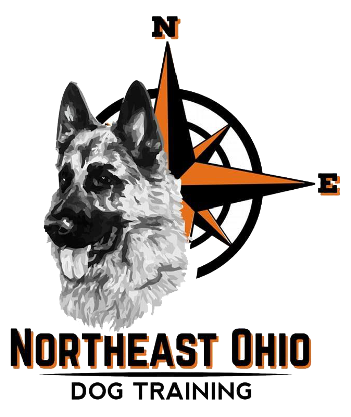 Northeast Ohio Dog Training - Kent, OH