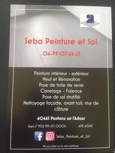Seba Peinture Et Sol peintre (artiste)