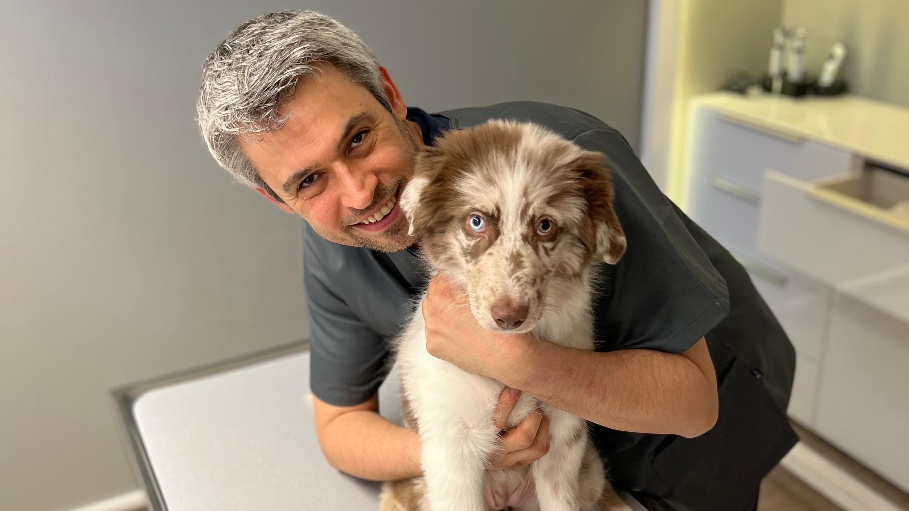 Tierarzt profelios Aachen, Heißbergstraße in Aachen