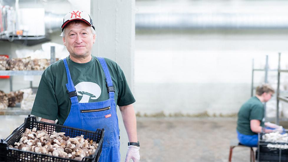 Die Pilzmanufaktur Rostock | GGP-Gruppe, Warnemünder Straße in Rostock