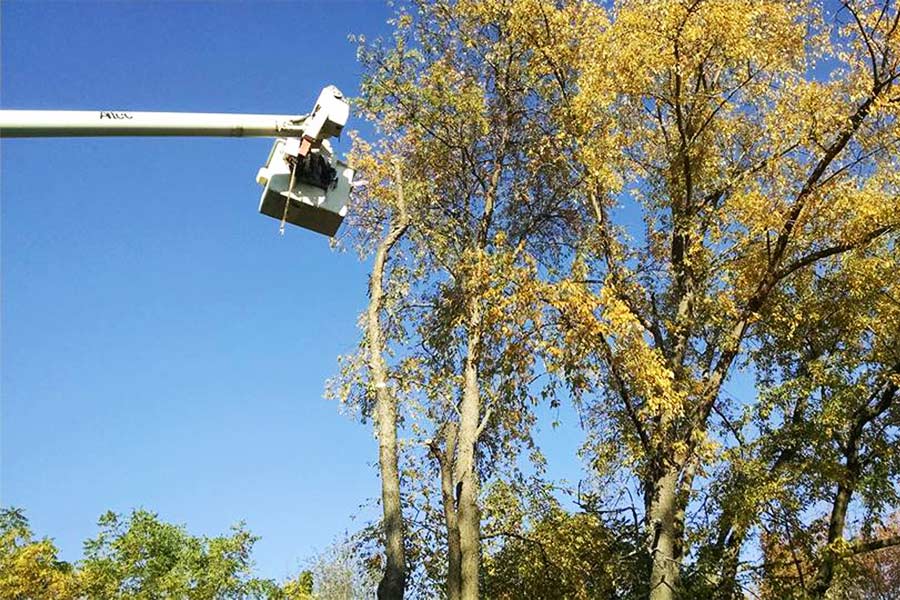 Image 2 | Keith Scott Construction and Tree Service